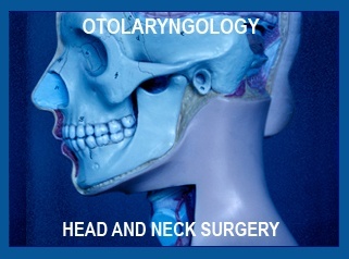 Otolaryngologists-head and neck surgeons