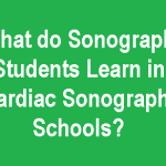 what to learn in cardiac sonography programs