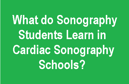 what to learn in cardiac sonography programs